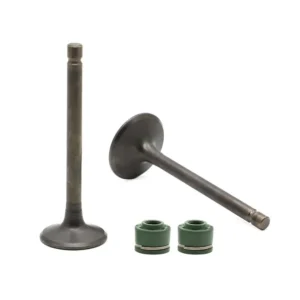 Valve Set for Honda CBZ Extreme Unicorn