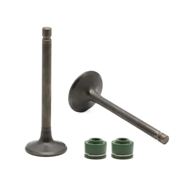 valve-set-yamaha-ybx Valve Set for Yamaha YBX