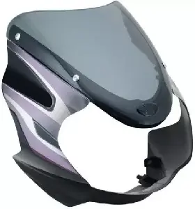 visor-for-discover-125-cc-om-black-purple Discover 125 CC Visor Black Purple